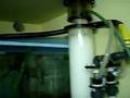 videos de filtration sump