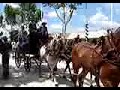 PASEO FERIA SEVILLA CABALLOS ENGANCHES 1 PASEO FERIA SEVILLA CABALLOS ENGANCHES 1