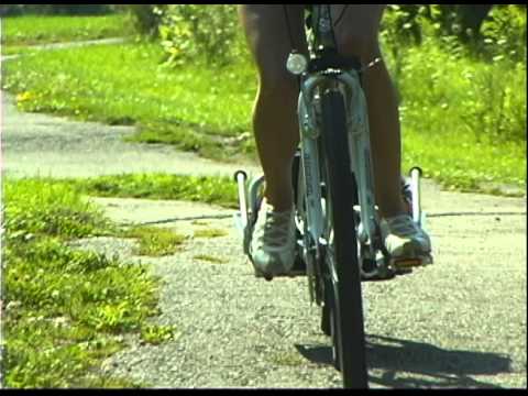 Maya Cycle on the Move