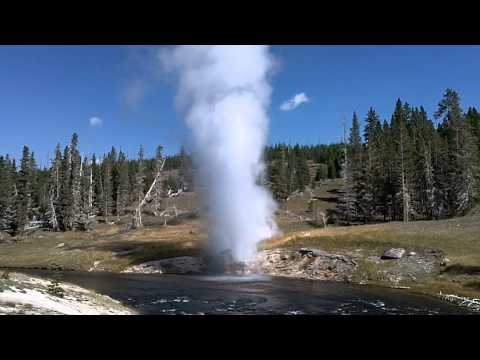 grand national results