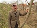 �rpi interj� a napl�ban
