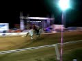 El Chapo de Sinaloa - Presentacion,canta el caballo bailador El Chapo de Sinaloa - Presentacion,canta el caballo bailador
