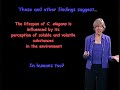Cynthia Kenyon (UCSF