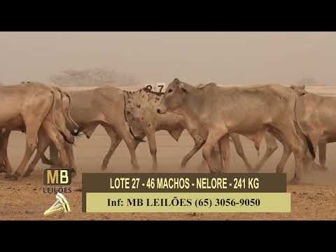 8� LEIL�O PRESENCIAL E VIRTUAL - LUCIANO DUARTE & CONVIDADOS