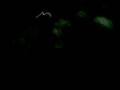 videos de otro año mas!! 31..