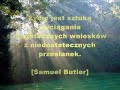 refleksja 1 tydzień