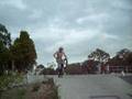 luke bowerman