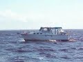 Cruise (Larry)