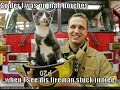 lolcats from cheezeburger
