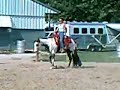 Heres Your Invitation-APHA RSRV  HONOR ROLL CHAMPION