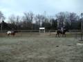 Hailey and Mallory jumping 2'3