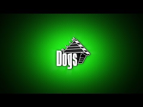Slim Dogs - l'inizio.