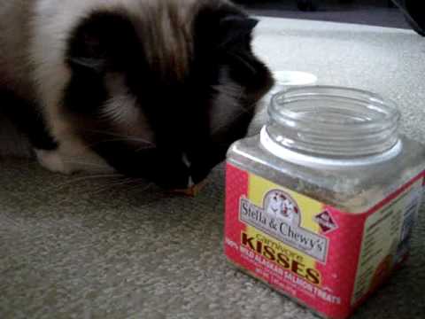 0 Stella And Chewys Carnivore Kisses