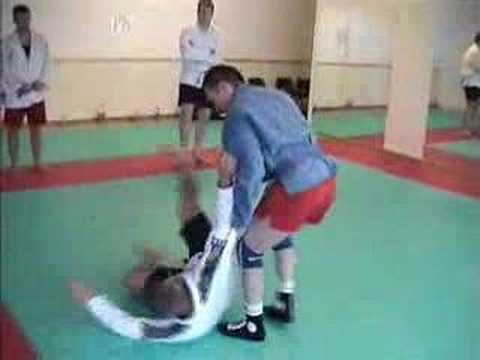 0 How to Be a Cop: Learning Self Defense