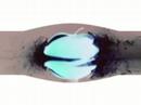 This is what a bullet does to eggs milk apples etc.
