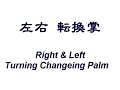 螺旋八卦掌 Spiral body BaGua palm