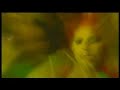 DISIDENTE - GRIS