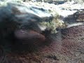 90gal T. Blondi Tutorial Part 1