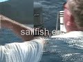 90 pound sailfish using (trolling) sistem 90 pound sailfish using (trolling) sistem