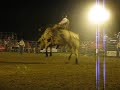 colt-deberry-carousel-farms-729.html