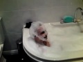 MOV01557.MP4