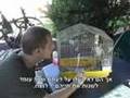videos de Ripley's Parody - The amazing parrot