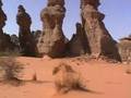 videos de Libia by Desert Scorpion team