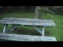 Accordian Interveiw Part 2