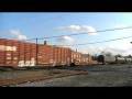 NS 7638 Leads NS 346 at Hair