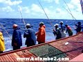 PESCA DO BONITO