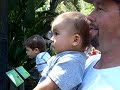 Cole at Zoo 1