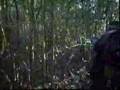 Ver Video