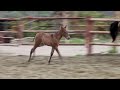 Jugo DM 13032010