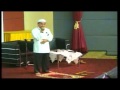 Cara Baca Al-Fatihah Gaya Rasulullah S.A.W