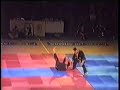 Sipalki [Maestro Dae Won Yoo 7� Dan]