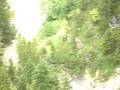 Neuschwanstein