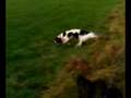 videos de Ole & Kala in the farmers fields again.