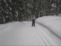 Seefeld 2009