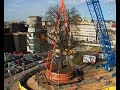 saving the tree in liberec