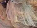 Annamaria Ferramosca. Mezzogiorno del tuo sonno