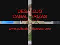 Desalojo Caballerizas Huesca 3 www.policialocalhuesca.com