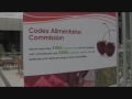 Report from Codex Commission Meeting - Rome 2009