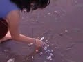 Saving a fish in Vietnam