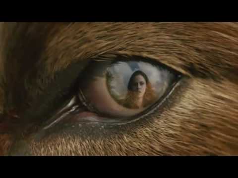 THE TWILIGHT SAGA NEW MOON TV Spot "Never Hurt You"