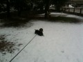 Chente en la nieve de Mucia.MOV
