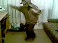 lil shuffla