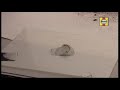 Fill holes or dents in car bodywork