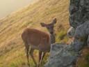 Tatry wrzesie? 2006