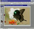 photoshop tutorial 7