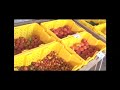 Podchef\ Podchef\